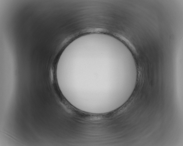 X0000112370110200908131302