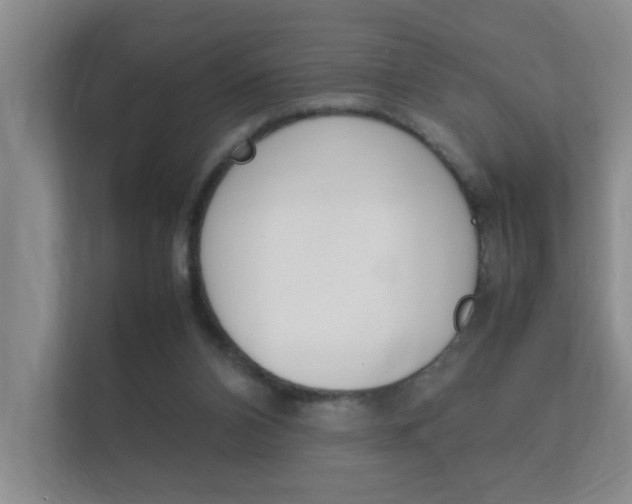 X0000112370112200908131302