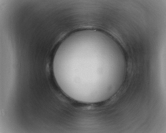 X0000112370116200908131302