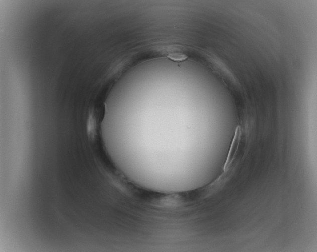 X0000112370124200908131302