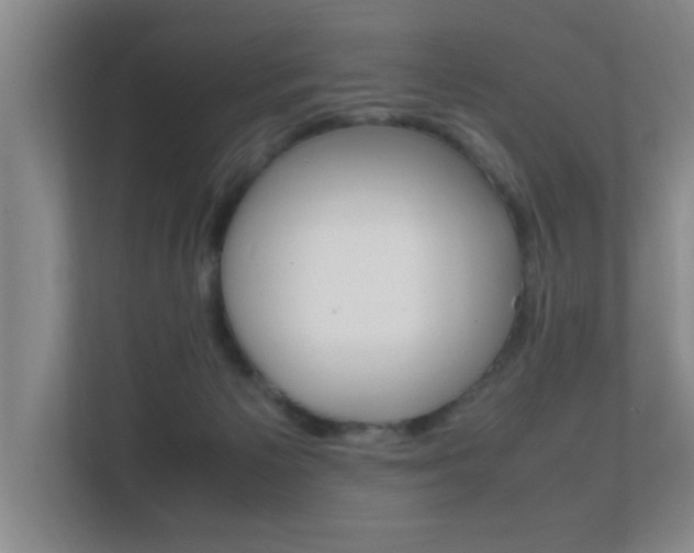 X0000112370125200908131302
