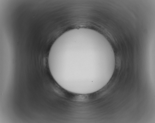 X0000112370126200908131302