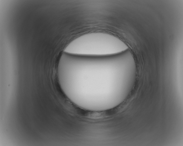 X0000112370129200908131302