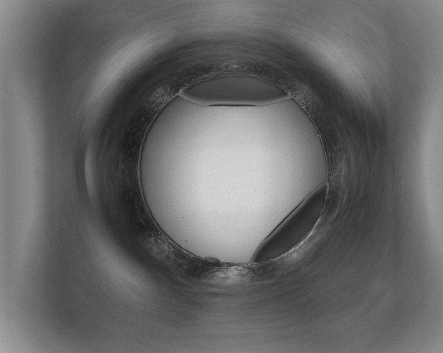 X0000112370140200908131302