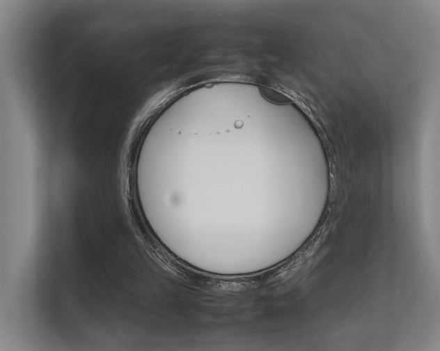 X0000112370149200908131301
