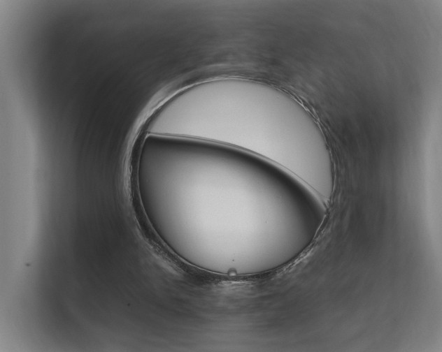 X0000112370150200908131301