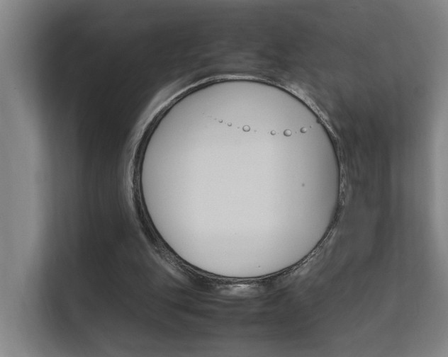 X0000112370151200908131301