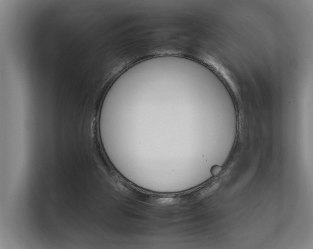 X0000112370153200908131301
