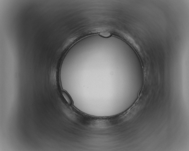 X0000112370154200908131301