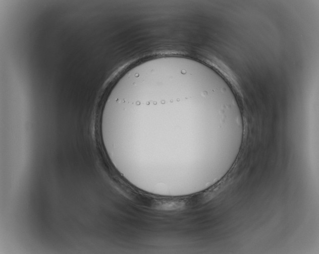 X0000112370155200908131301