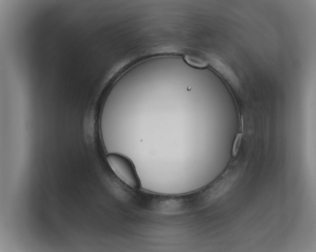 X0000112370156200908131301