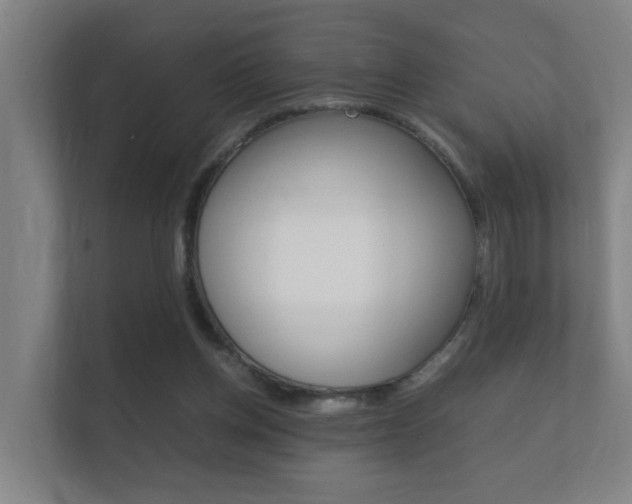 X0000112370158200908131301