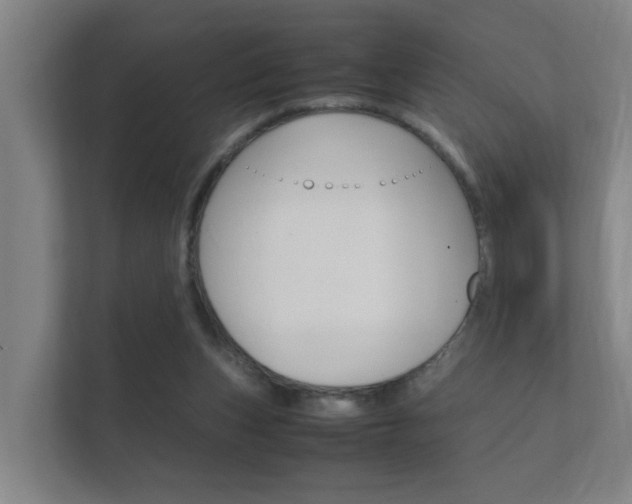 X0000112370159200908131301