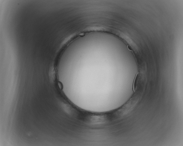 X0000112370160200908131301