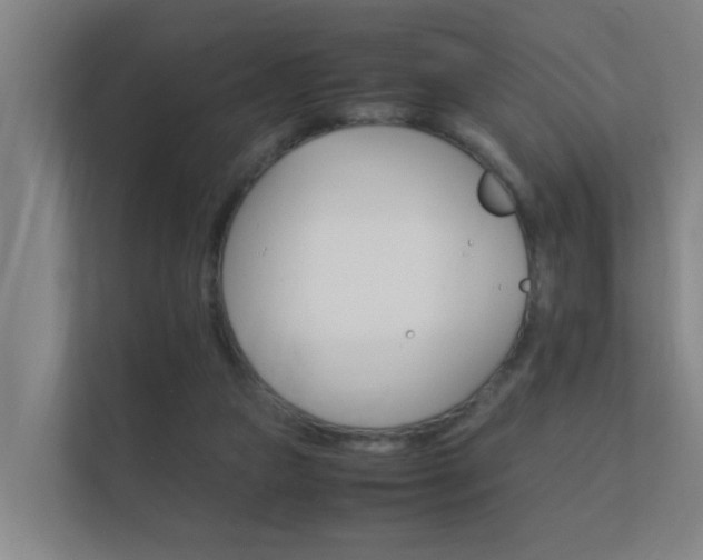 X0000112370161200908131301