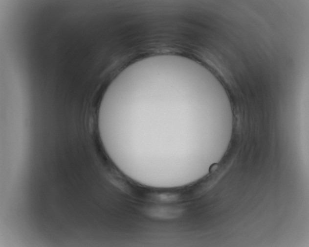 X0000112370165200908131301