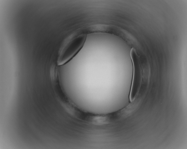 X0000112370168200908131301