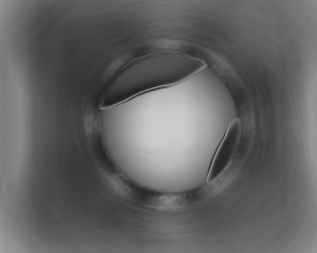 X0000112370172200908131301