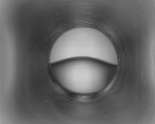 X0000112370174200908131301