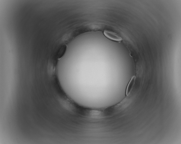 X0000112370176200908131301