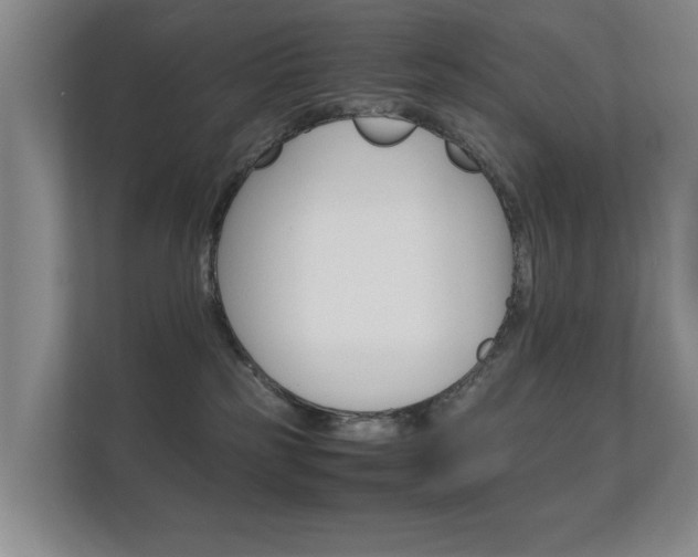 X0000112370185200908131302