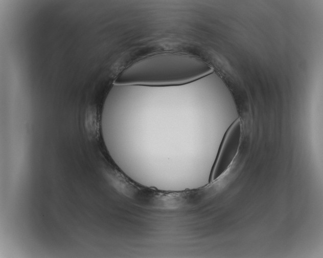 X0000112370186200908131302