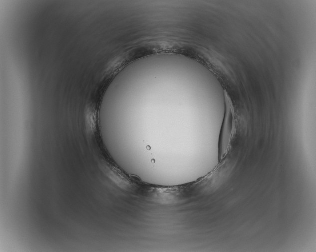 X0000112370188200908131302