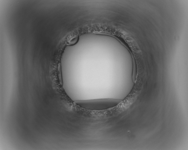 X0000112370192200908131302