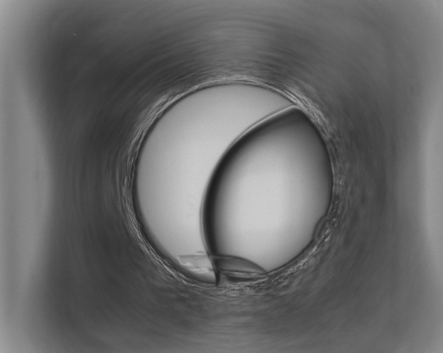X0000112370193200908131301