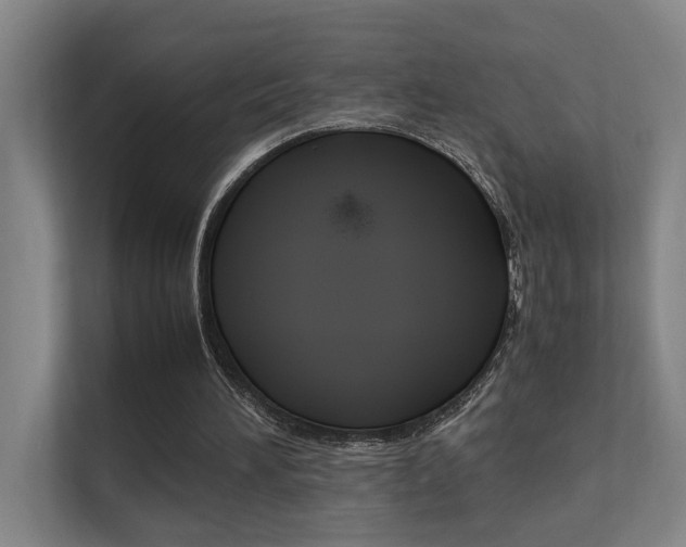 X0000112370196200908131301