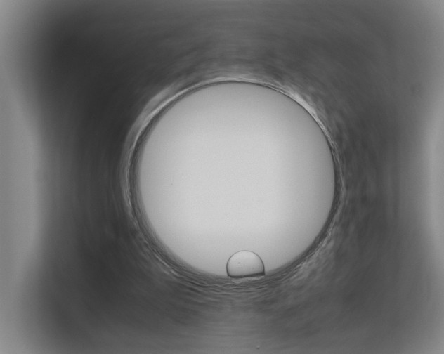 X0000112370199200908131301
