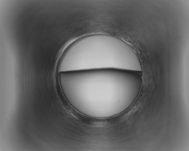 X0000112370200200908131301