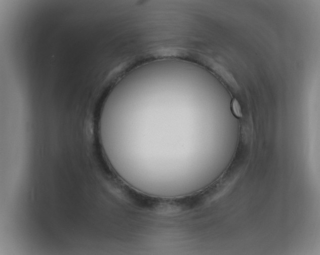 X0000112370207200908131301