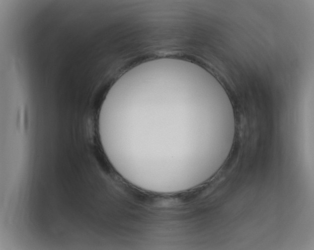 X0000112370210200908131301