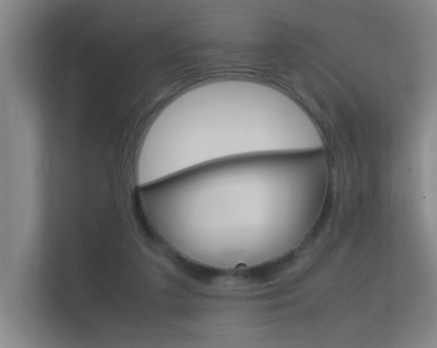 X0000112370211200908131301