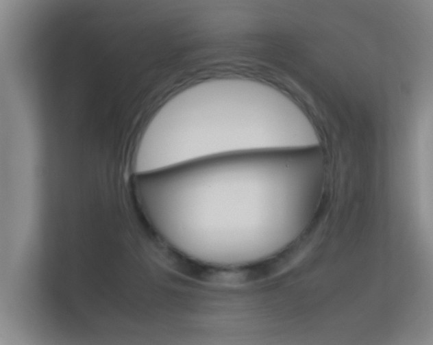 X0000112370217200908131301