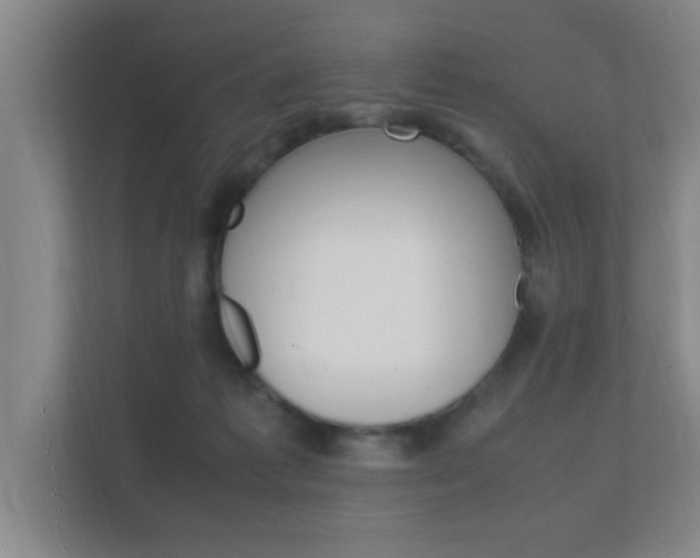 X0000112370221200908131301