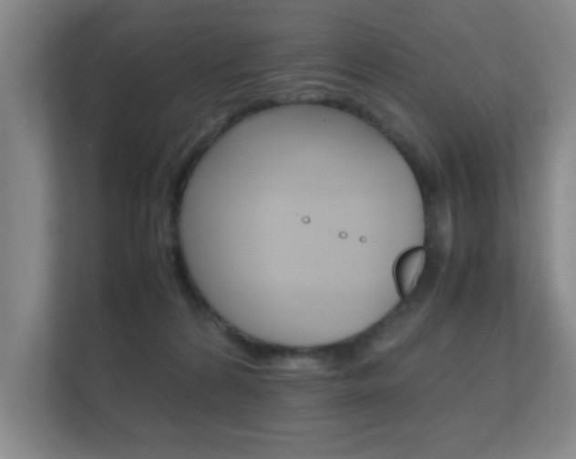 X0000112370224200908131301