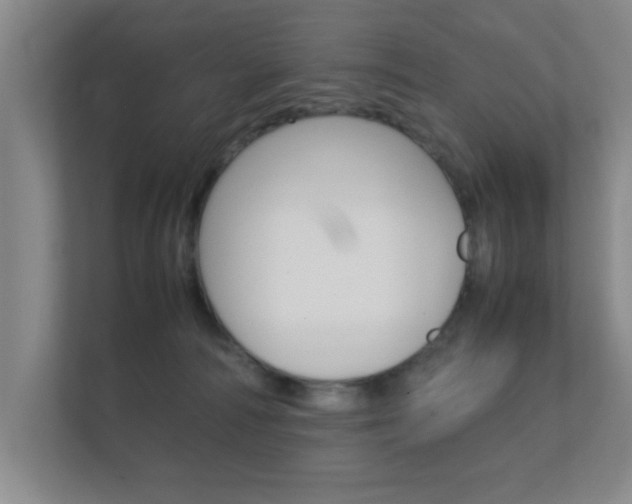 X0000112370226200908131301