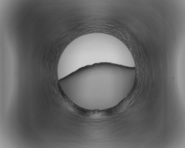 X0000112370235200908131300