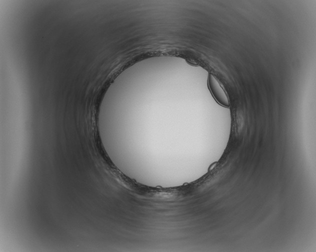 X0000112370236200908131300