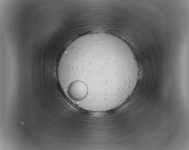 X0000112370238200908131300