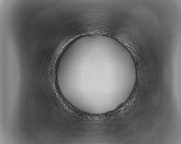 X0000112370241200908131300
