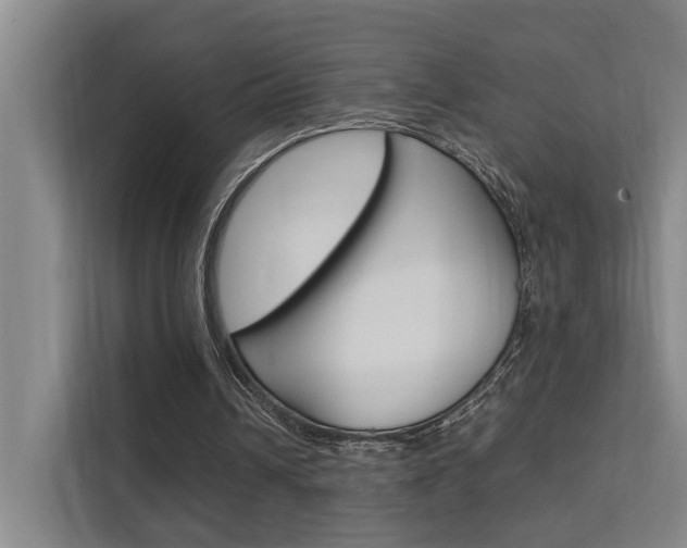 X0000112370242200908131300