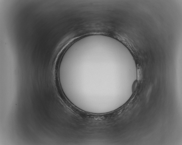 X0000112370243200908131300