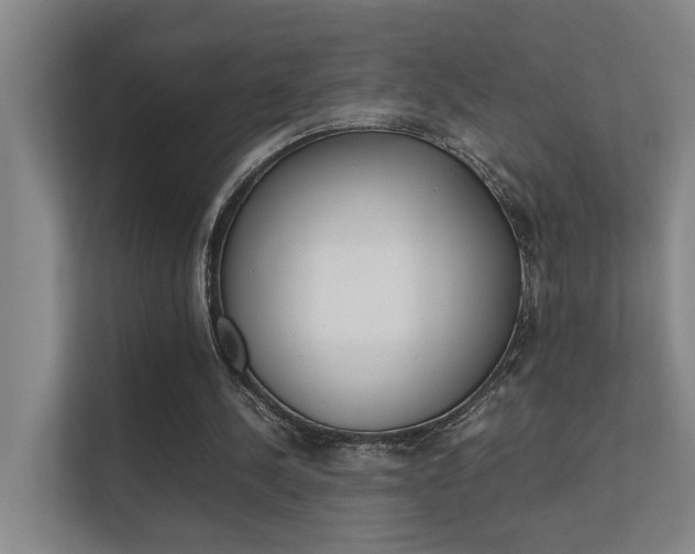 X0000112370244200908131300