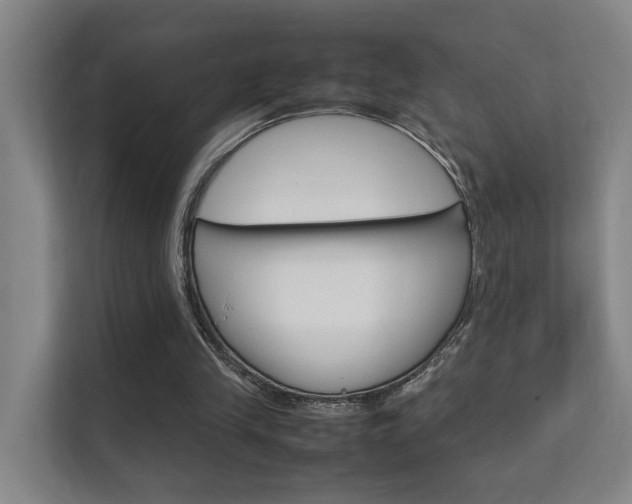 X0000112370245200908131300