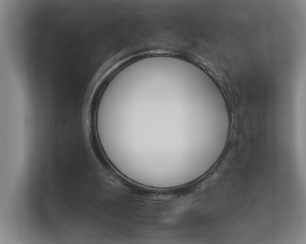 X0000112370247200908131300