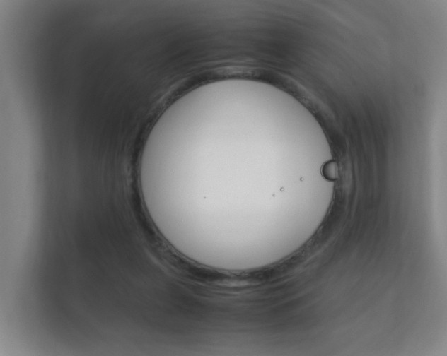 X0000112370255200908131300