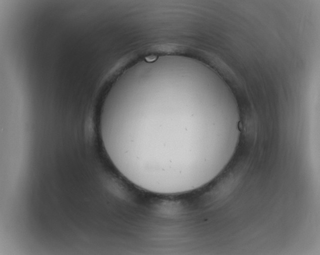X0000112370256200908131300